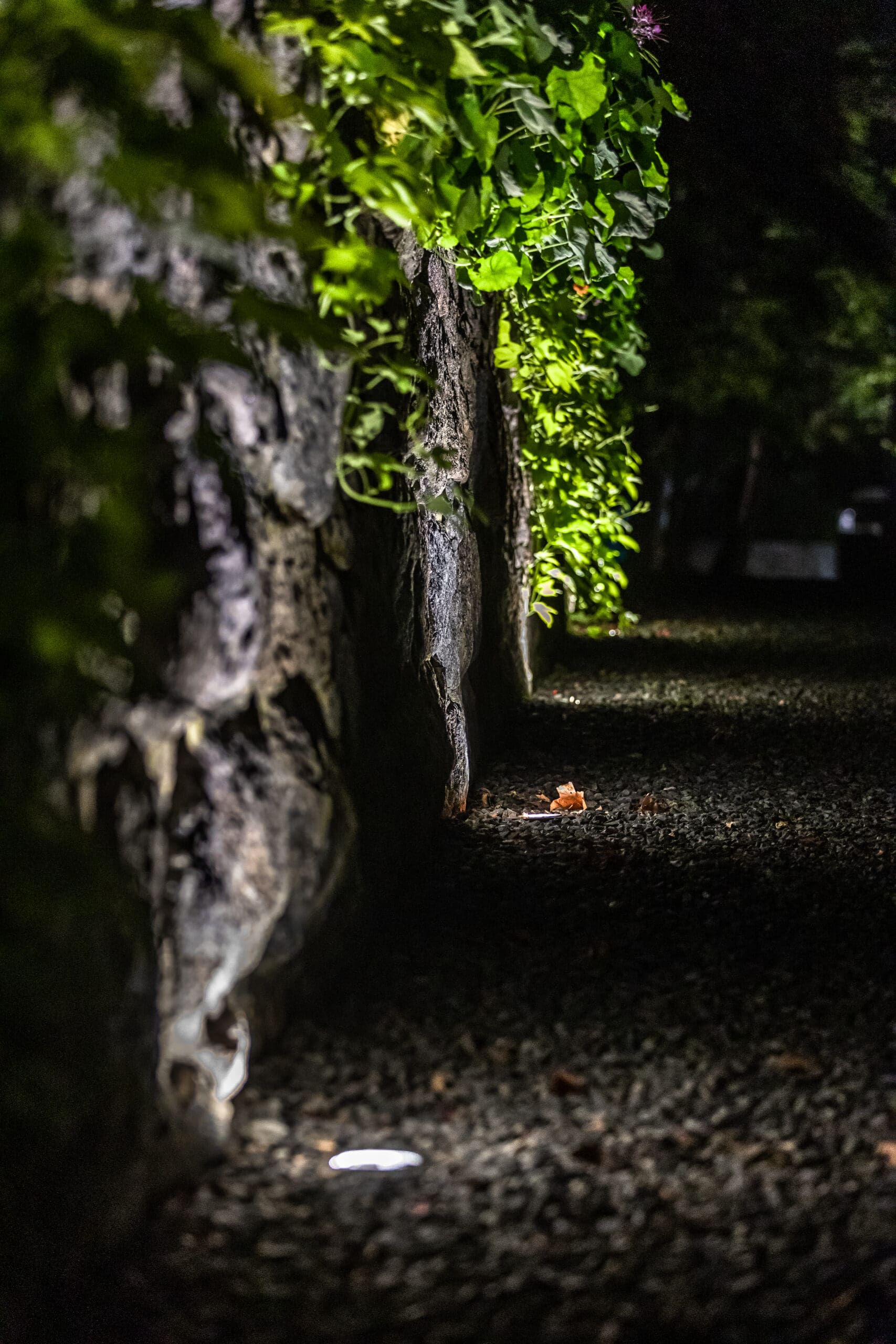 rainfall0049