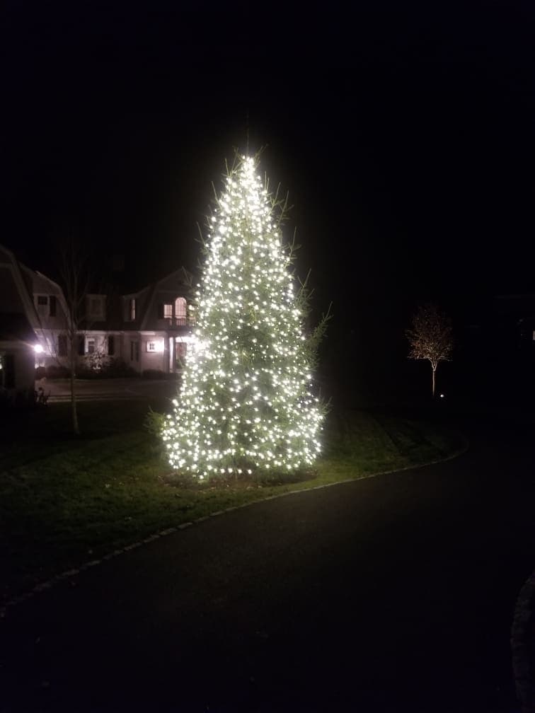 Holiday lighting project by Rainfall Irrigation