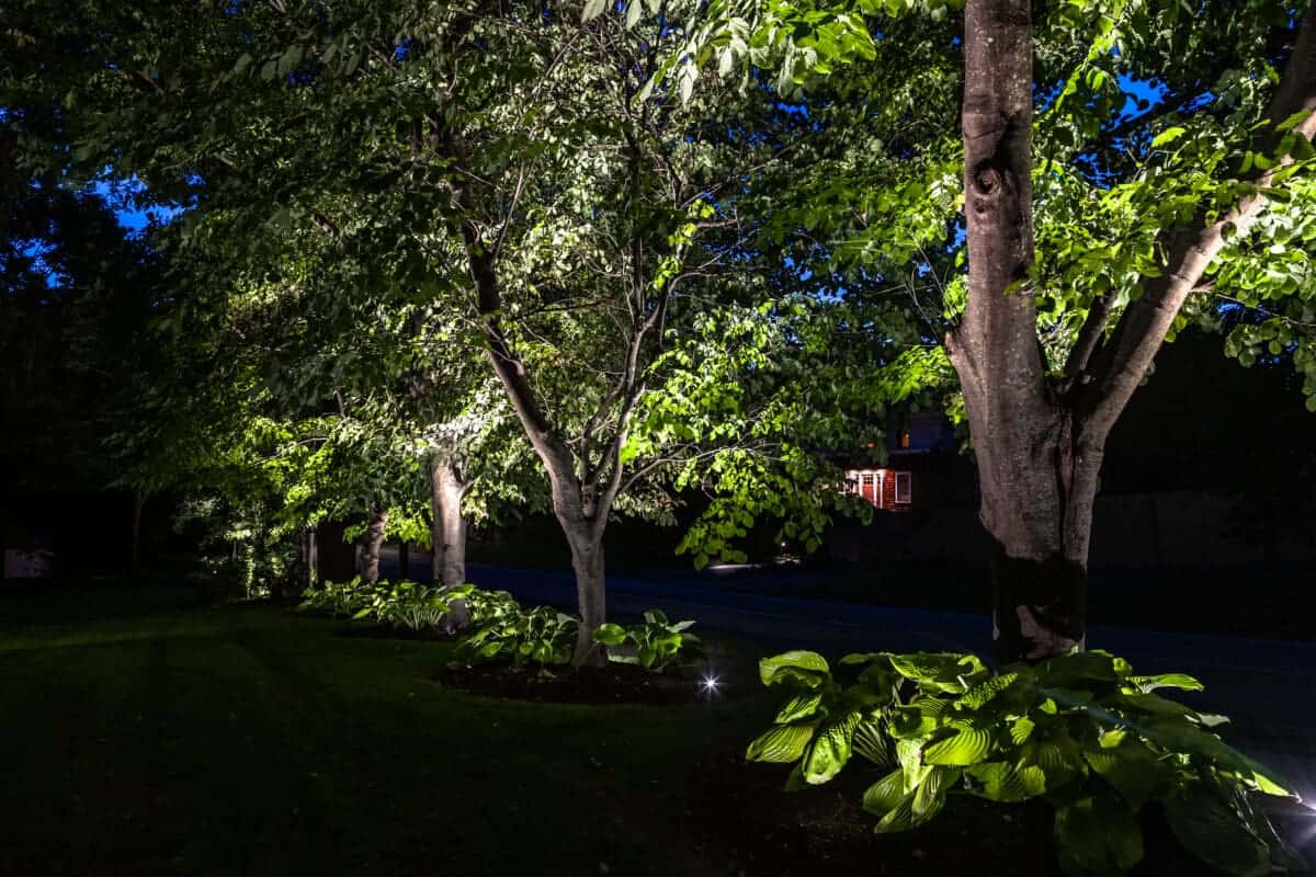 Landscape lighting project by Rainfall Irrigation