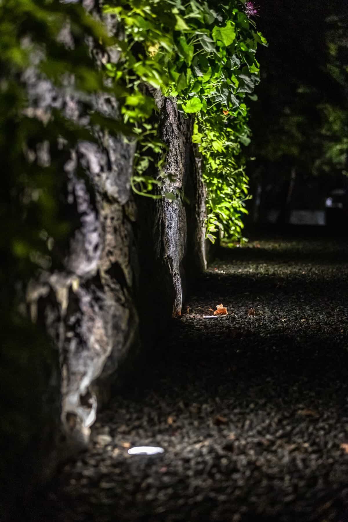 Landscape lighting project by Rainfall Irrigation