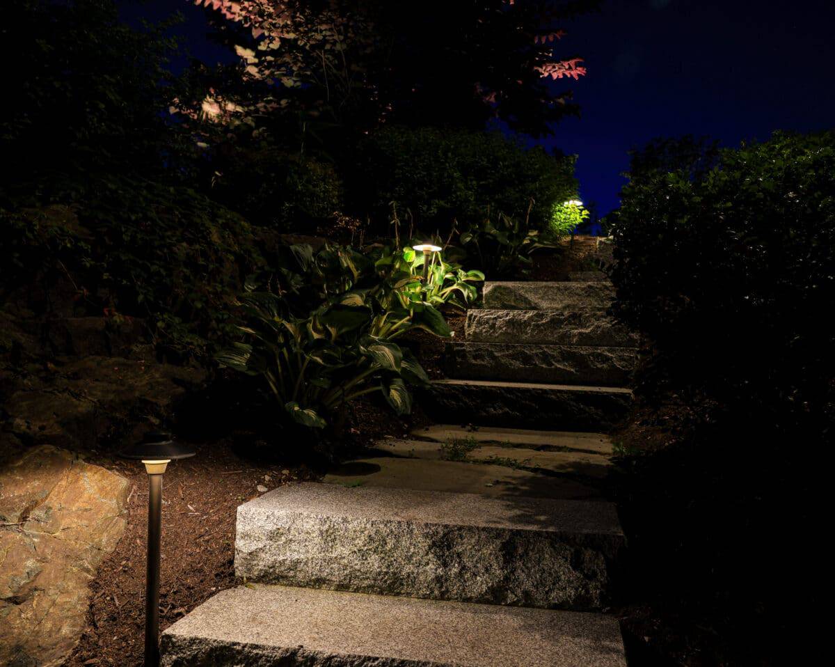 Landscape lighting project by Rainfall Irrigation